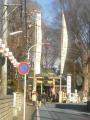 初詣（有鹿神社）